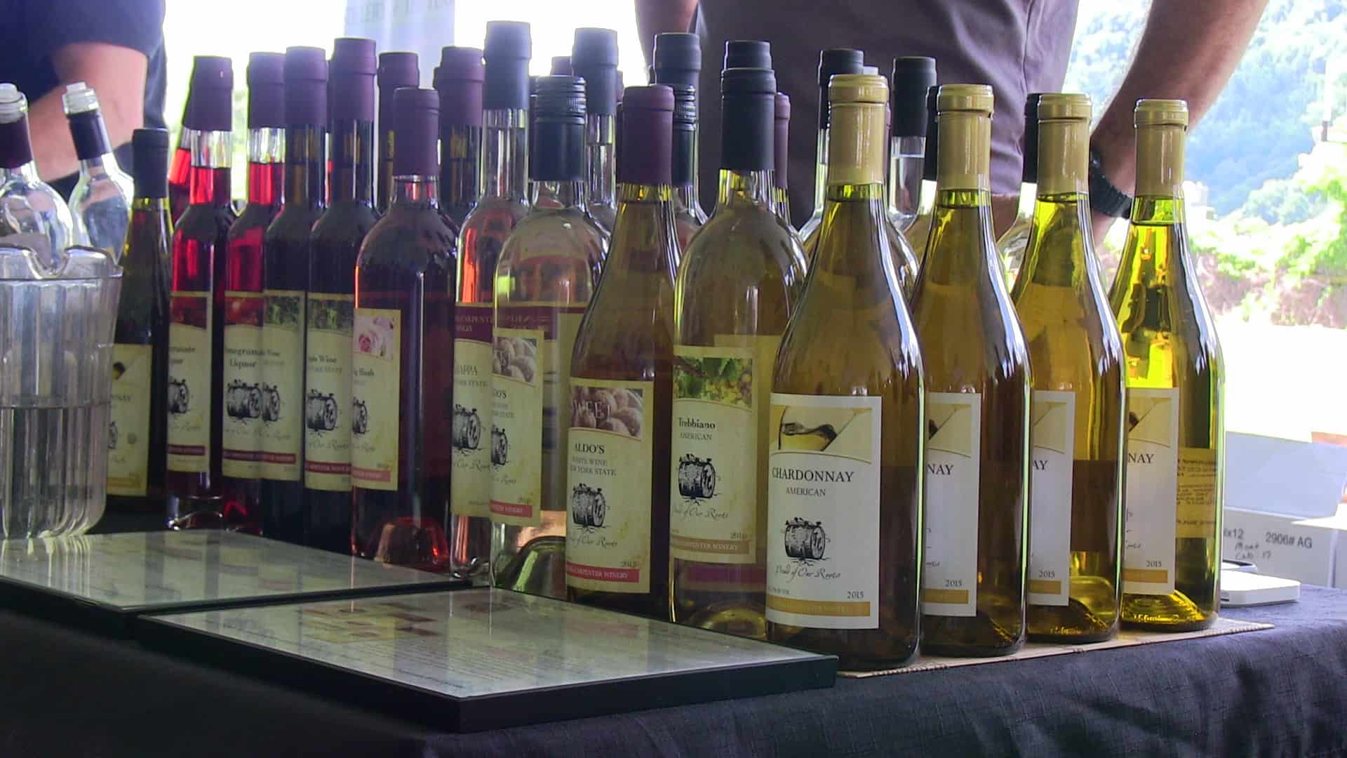 TICKETS ON SALE NOW FOR THE 9TH ANNUAL  PUTNAM COUNTY WINE & FOOD FEST  